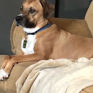 Meet your Posher, Brandon